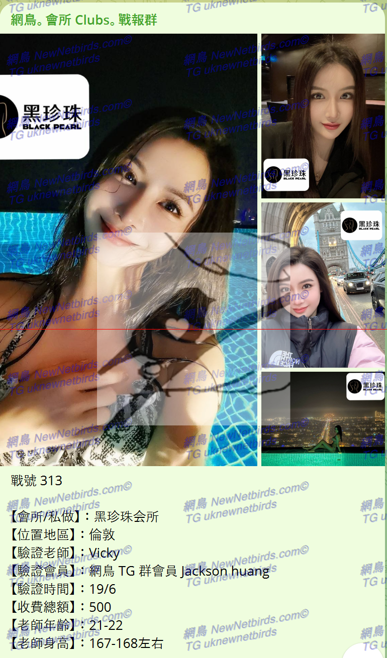 戰號 313 1.png